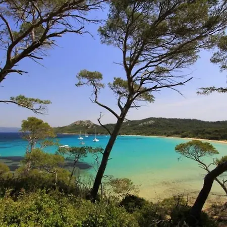 Apartment Lovely Flat In The Heart Of The Medieval Hyeres